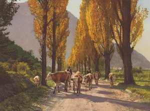 Svizzera: La valle del Rodano vicino a Visp