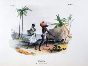 Tottis, 1828 da Jean Henri Marlet