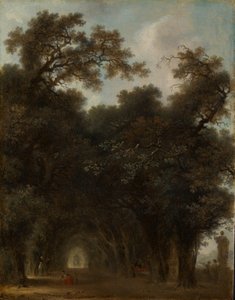 Un viale ombreggiato