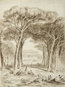 Paesaggio italiano con pini a ombrello