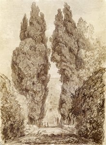 Grandi cipressi alla Villa d