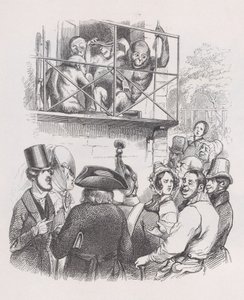 Oranghi da Le opere complete di Béranger, 1836 da Jean Ignace Isidore Gérard