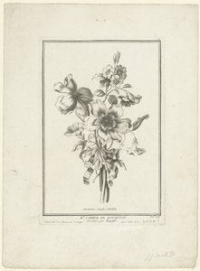 Bouquet di anemoni e convolvoli da Jean Jacques Avril (I)
