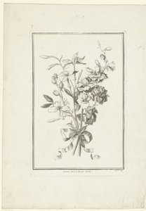 Bouquet di gelsomino e delphinium