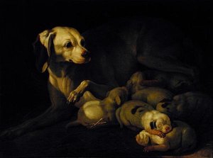 La cagna che allatta i suoi cuccioli (dettaglio)