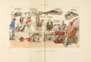 Regno animale. Da La Caricature