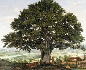 La Pianura di Annecy-Chene il Veterano delle Alpi da Jean Jacques Rousseau