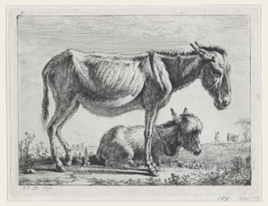 Jenny con il suo puledro, 1797 da Jean Jacques de Boissieu