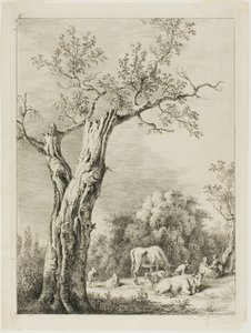Primavera