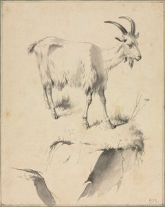 Studio di una capra, 1700s da Jean Jacques de Boissieu