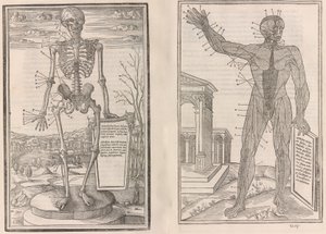 De dissectione partium corporis humani libri tres da Jean Jollat