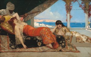 Il favorito dell