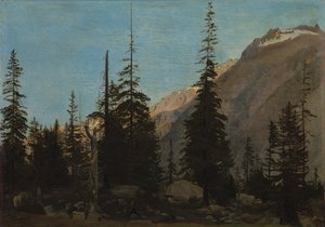Paesaggio alpino: La Handegg, Svizzera, anni 1850 da Jean Leon Gerome