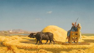 I trebbiatori di grano, Egitto da Jean Leon Gerome