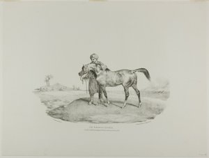 Un cavallo arabo, tavola 8 da Vari soggetti disegnati dal vero e su pietra (The English Suite) da Jean Louis André Théodore Géricault