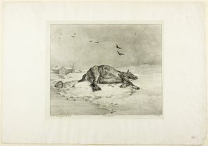 Cavallo morto da Jean Louis André Théodore Géricault