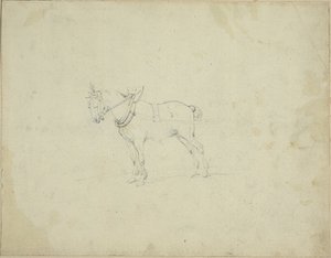 Cavallo da tiro da Jean Louis André Théodore Géricault