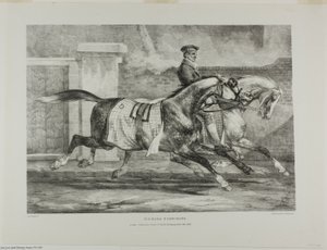 Cavalli in esercizio, tavola 6 da Vari soggetti disegnati dal vero e su pietra (The English Suite) da Jean Louis André Théodore Géricault