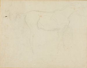 Schizzo di un cavallo rivolto a destra e caricatura di profilo da Jean Louis André Théodore Géricault