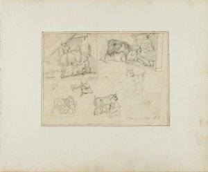 Schizzi di capre da Jean Louis André Théodore Géricault