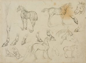 Schizzi di un cavallo da Jean Louis André Théodore Géricault