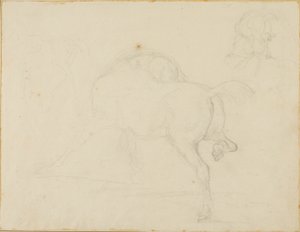 Studio di un cavallo che gira la testa e alza la zampa posteriore da Jean Louis André Théodore Géricault