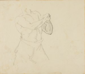 Torso di un pugile