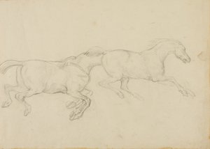 Due cavalli al galoppo verso destra da Jean Louis André Théodore Géricault