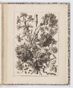Fiori