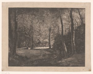Pastorella nel bosco di Rochecardon da Jean Michel Grobon