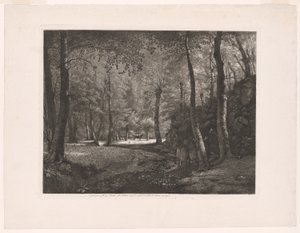 La foresta di Rochecardon
