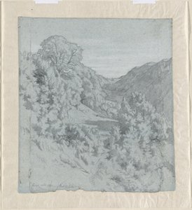 Alberi illuminati dal sole in una valle vicino a Lacoux da Jean Paul Flandrin