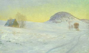 Montagna del falco nella neve