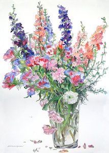 Ranuncoli, Godetia, Delphinium, 2000 (acquerello e inchiostro su carta)