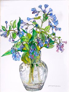 Virginia Blue Bells in Narrow Necked Vase, 2006 (acquerello e inchiostro su carta)