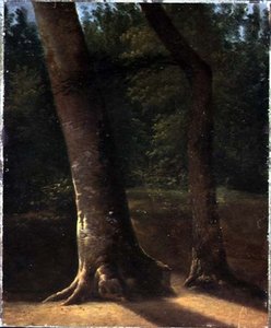 Studio di alberi, c.1815