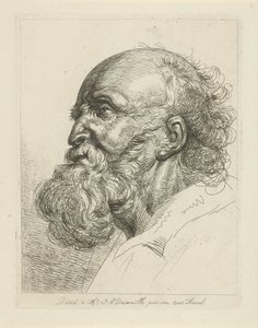 Ritratto di un vecchio con barba