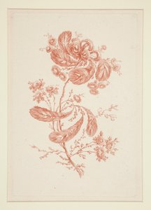 Senza Titolo (Fiori Ideali), da un set di sei
