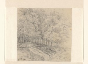 Paesaggio con alberi