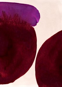 Lavaggi viola biologici da Jenja Braun