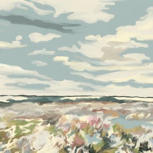 Fiori delle dune, cielo oceanico da Jenna Alheit