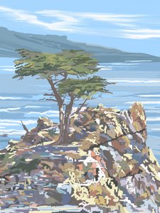 Lone Cypress con vista sull