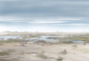 Paesaggio di una zona umida nebbiosa da Jenna Alheit