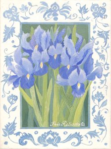 Iris blu (acrilico) da Jennifer Abbott