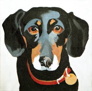 Buster, 2012 (acrilico su tela)