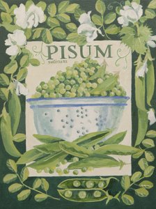 Pisum, Piselli (acrilico) da Jennifer Abbott