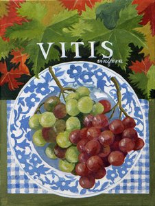 Vitus (uva), 2014 (acrilico su tela) da Jennifer Abbott