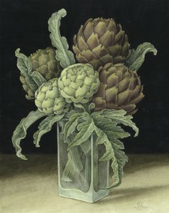 Carciofo da Jenny Barron
