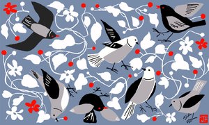 Birdy