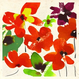 Fantasia floreale da Jenny Frean